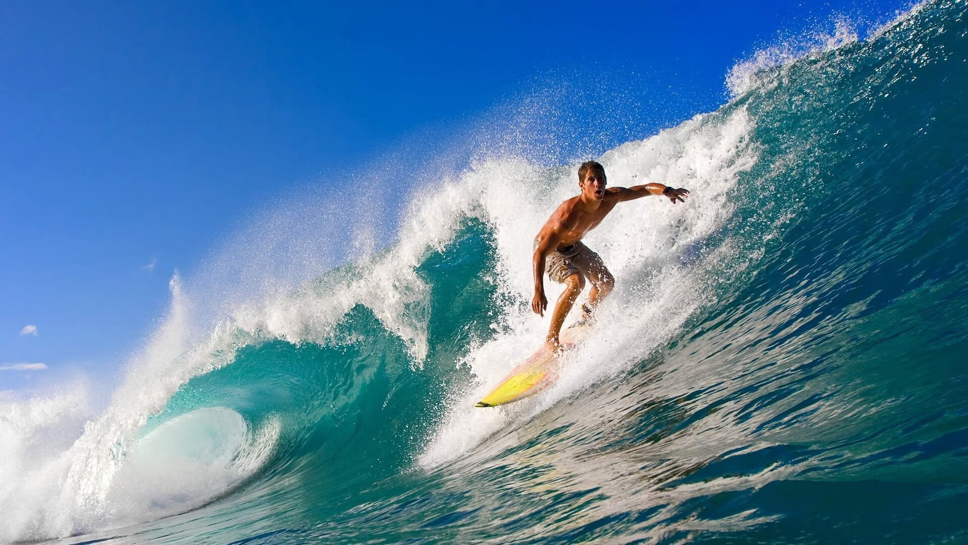 新疆绝地反击，逆境中成就奇迹！，新疆暴难是哪一年